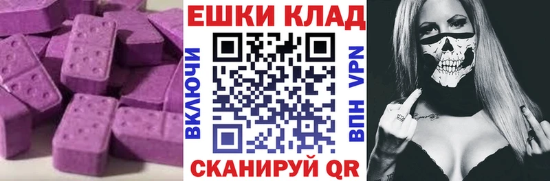 закладка Кинель Ecstasy диски