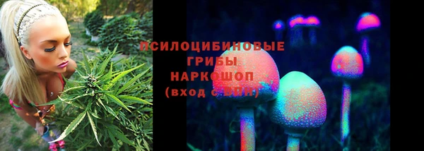 хмурый Алексеевка