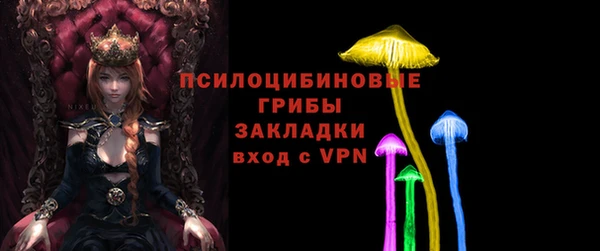 хмурый Алексеевка